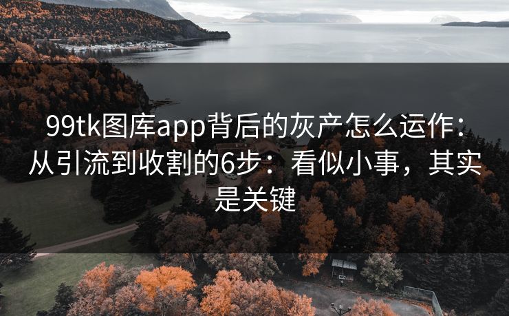 99tk图库app背后的灰产怎么运作：从引流到收割的6步：看似小事，其实是关键